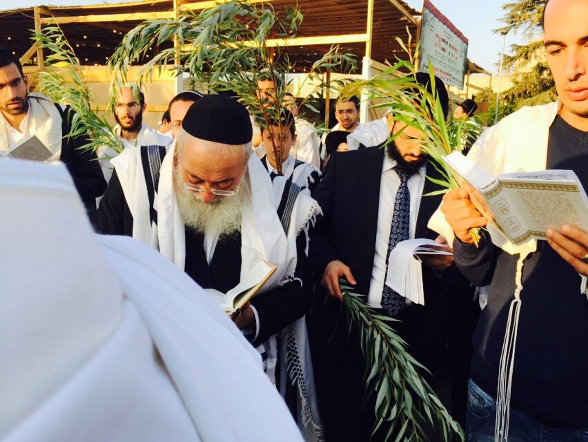 הראשל"צ הגרש"מ עמאר דומע בתפילת הושענא רבה וחבטת ערבה