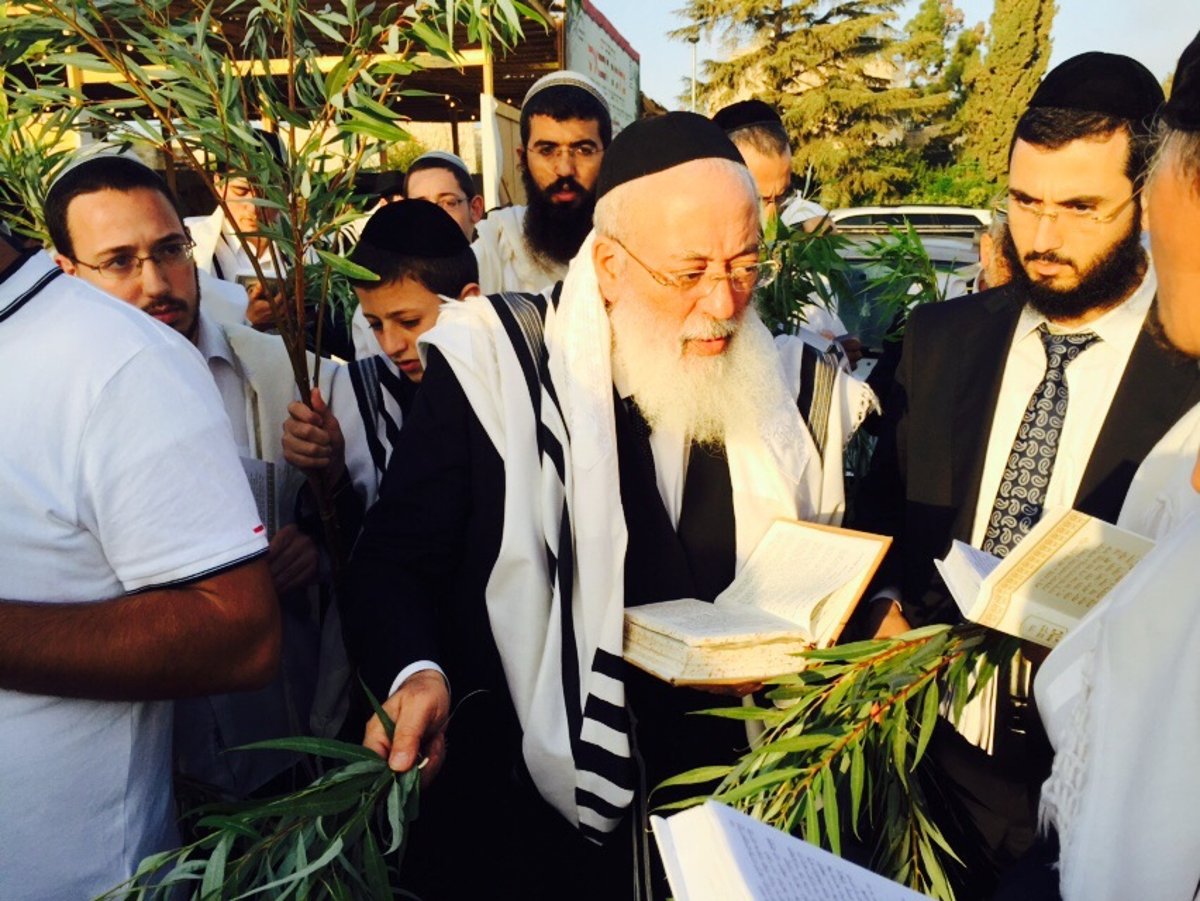 הראשל"צ הגרש"מ עמאר דומע בתפילת הושענא רבה וחבטת ערבה