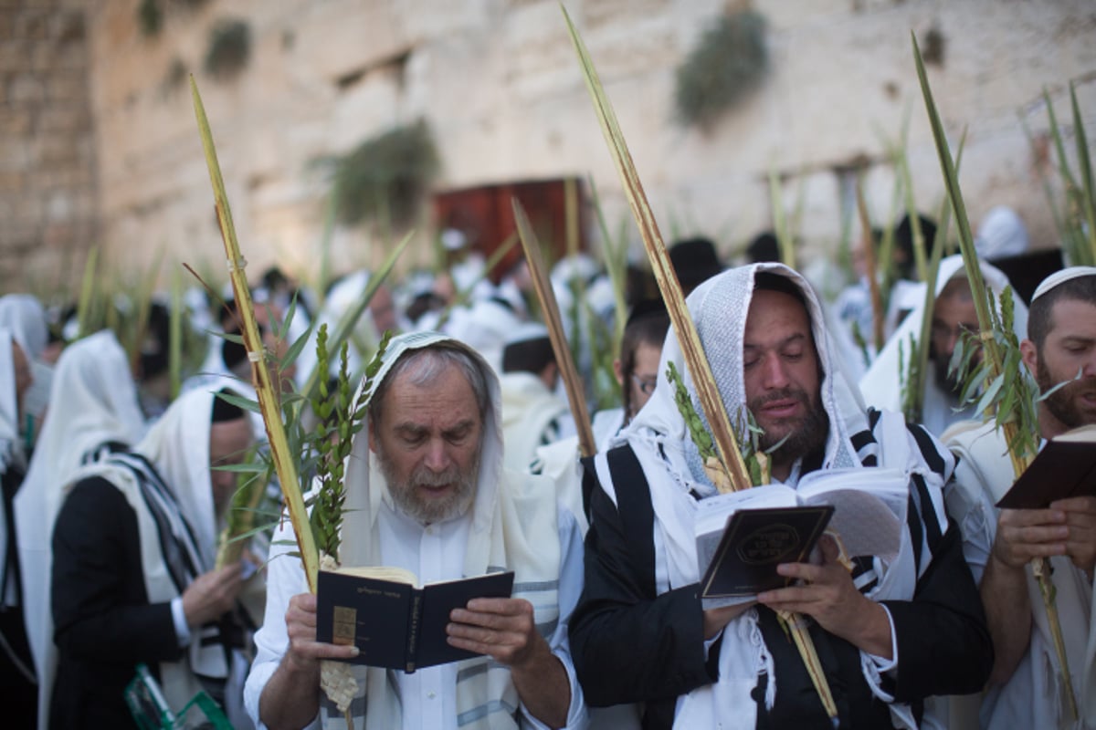 הושענא רבה בכותל המערבי • צפו בגלריה