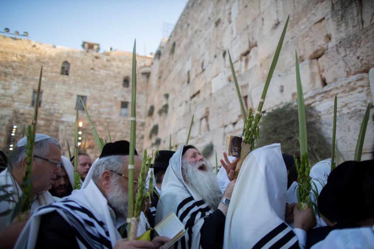 הושענא רבה בכותל המערבי • צפו בגלריה