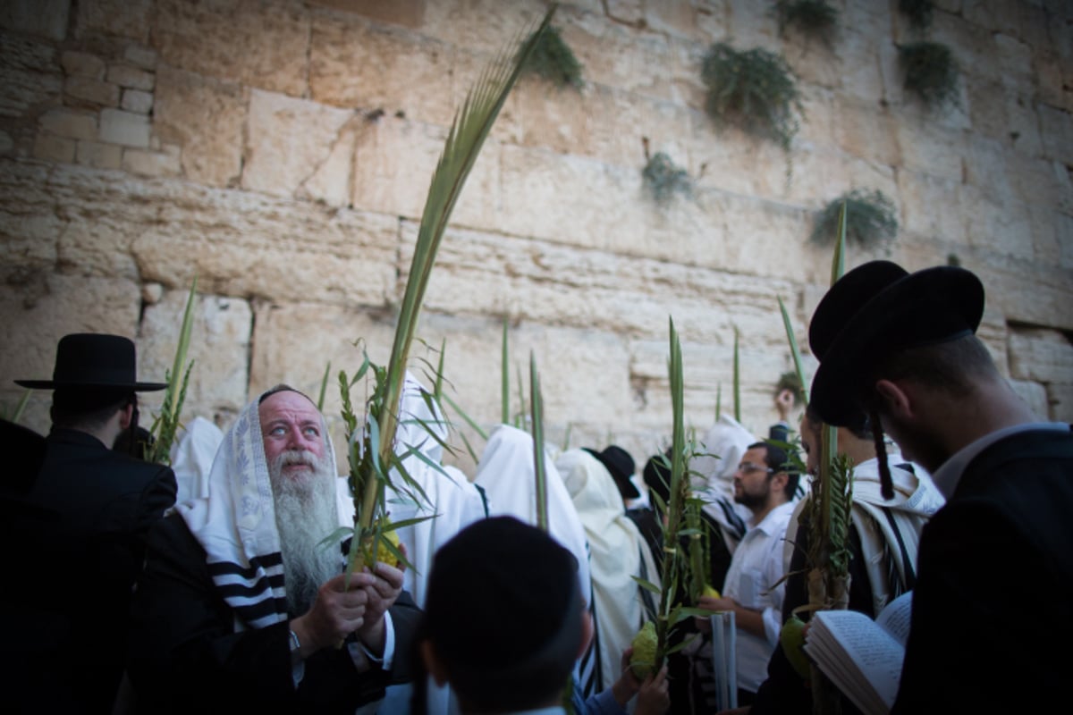 הושענא רבה בכותל המערבי • צפו בגלריה