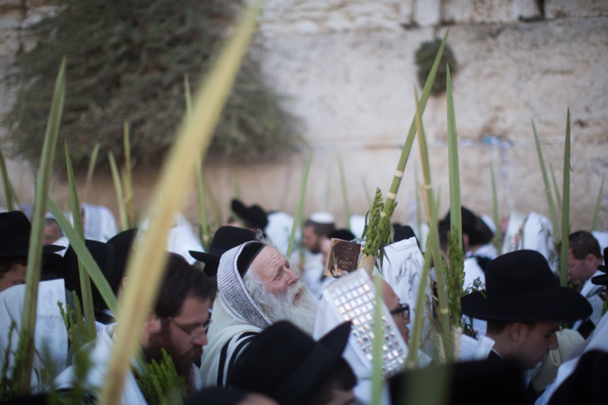 הושענא רבה בכותל המערבי • צפו בגלריה