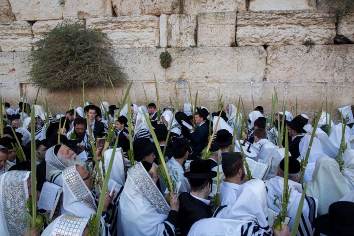 הושענא רבה בכותל המערבי • צפו בגלריה