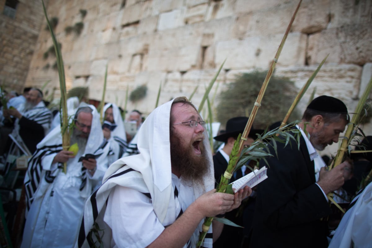 הושענא רבה בכותל המערבי • צפו בגלריה