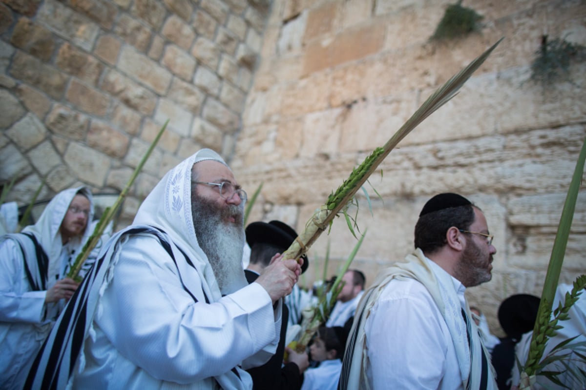 הושענא רבה בכותל המערבי • צפו בגלריה