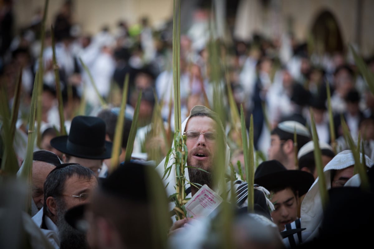 הושענא רבה בכותל המערבי • צפו בגלריה