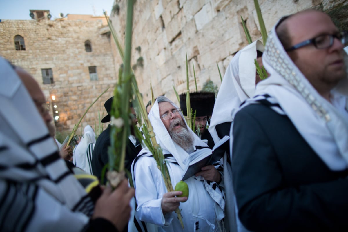 הושענא רבה בכותל המערבי • צפו בגלריה