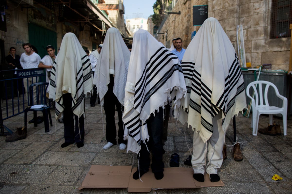 הושענא רבה בכותל המערבי • צפו בגלריה