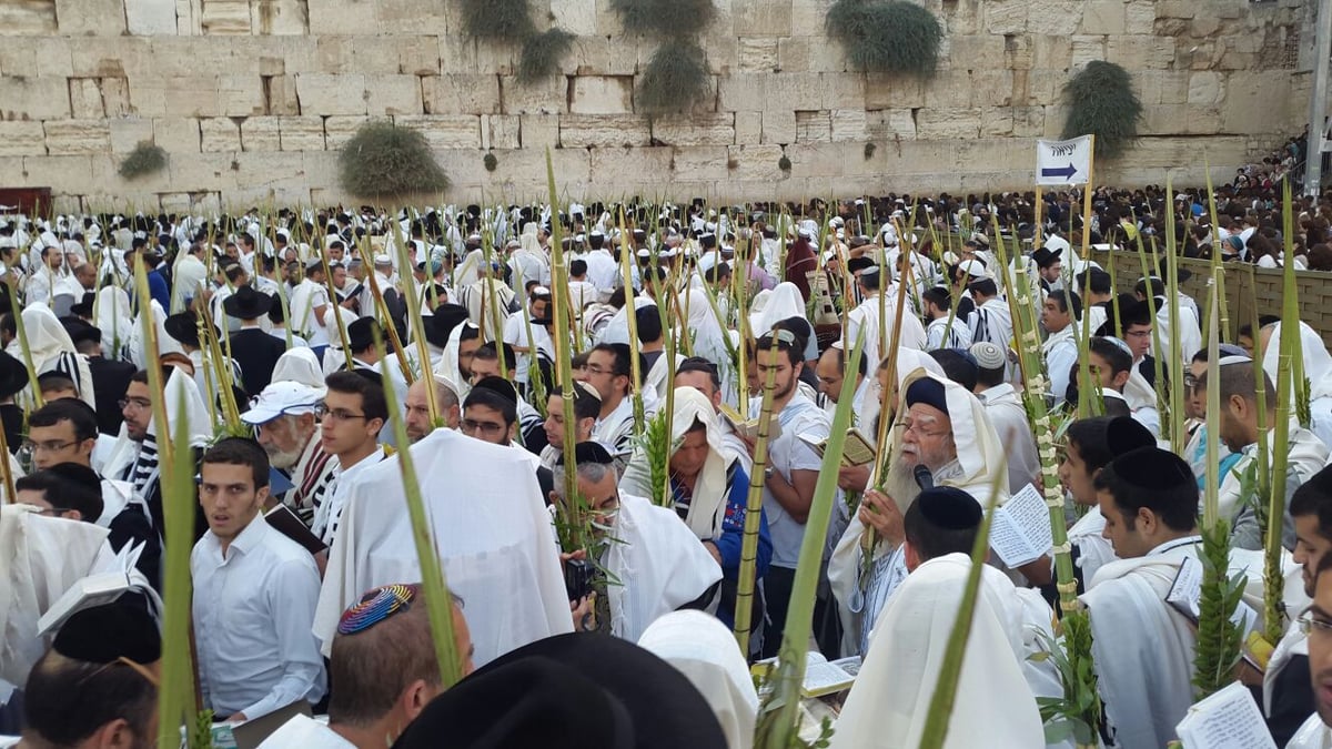 צפו: הראשל"צ הגאון רבי אליהו בקשי דורון בבגדי לבן ברחבת הכותל