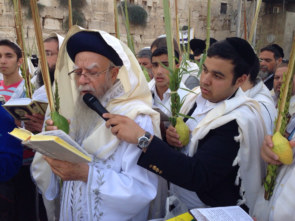 צפו: הראשל"צ הגאון רבי אליהו בקשי דורון בבגדי לבן ברחבת הכותל