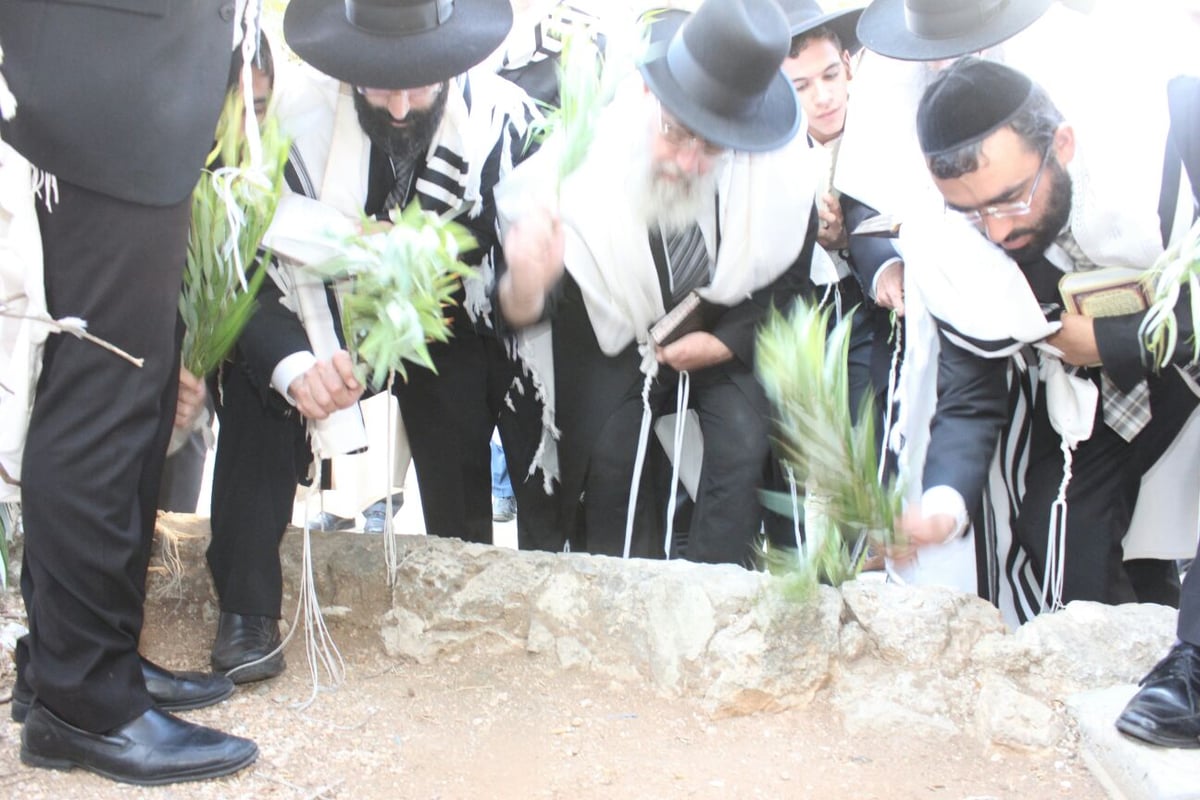 הראשל"צ הגר"י יוסף בחבטת ערבה עם תלמידיו • גלריה