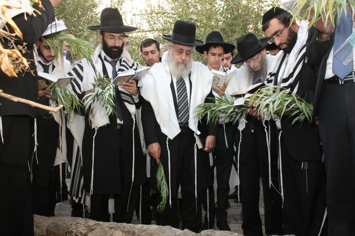 הראשל"צ הגר"י יוסף בחבטת ערבה עם תלמידיו • גלריה