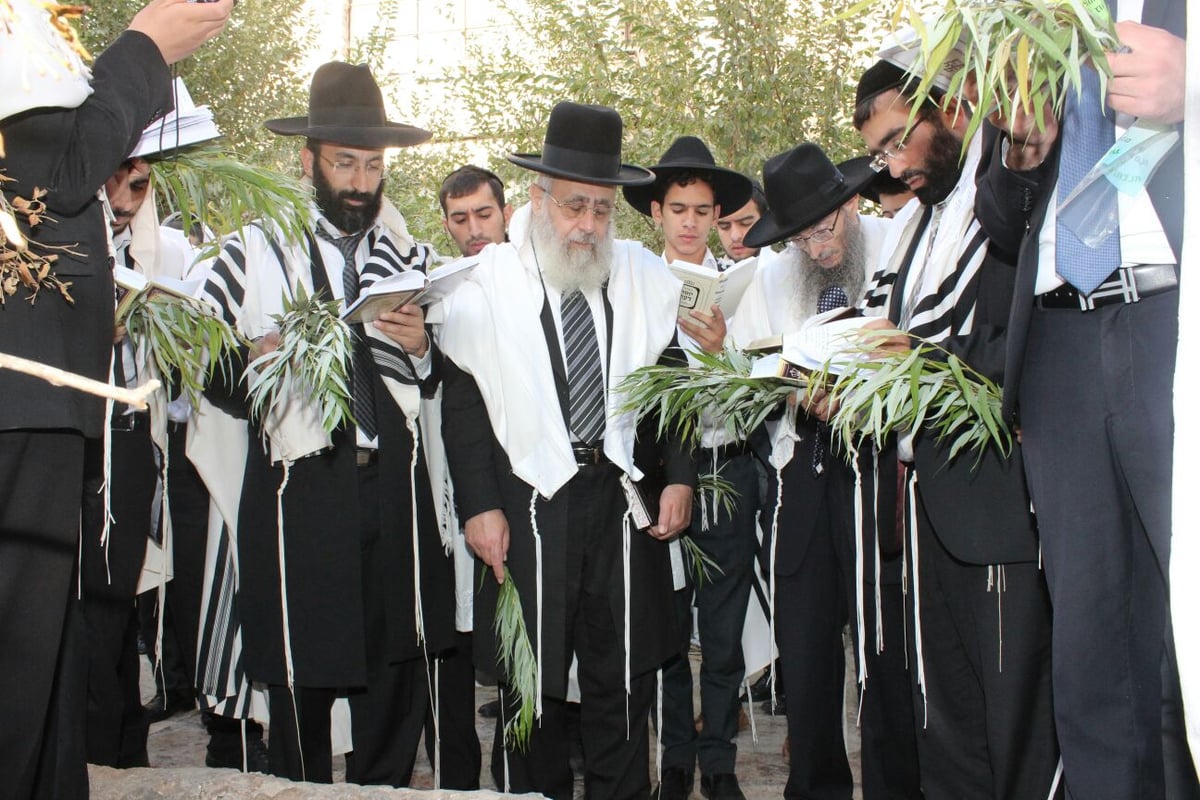 הראשל"צ הגר"י יוסף בחבטת ערבה עם תלמידיו • גלריה