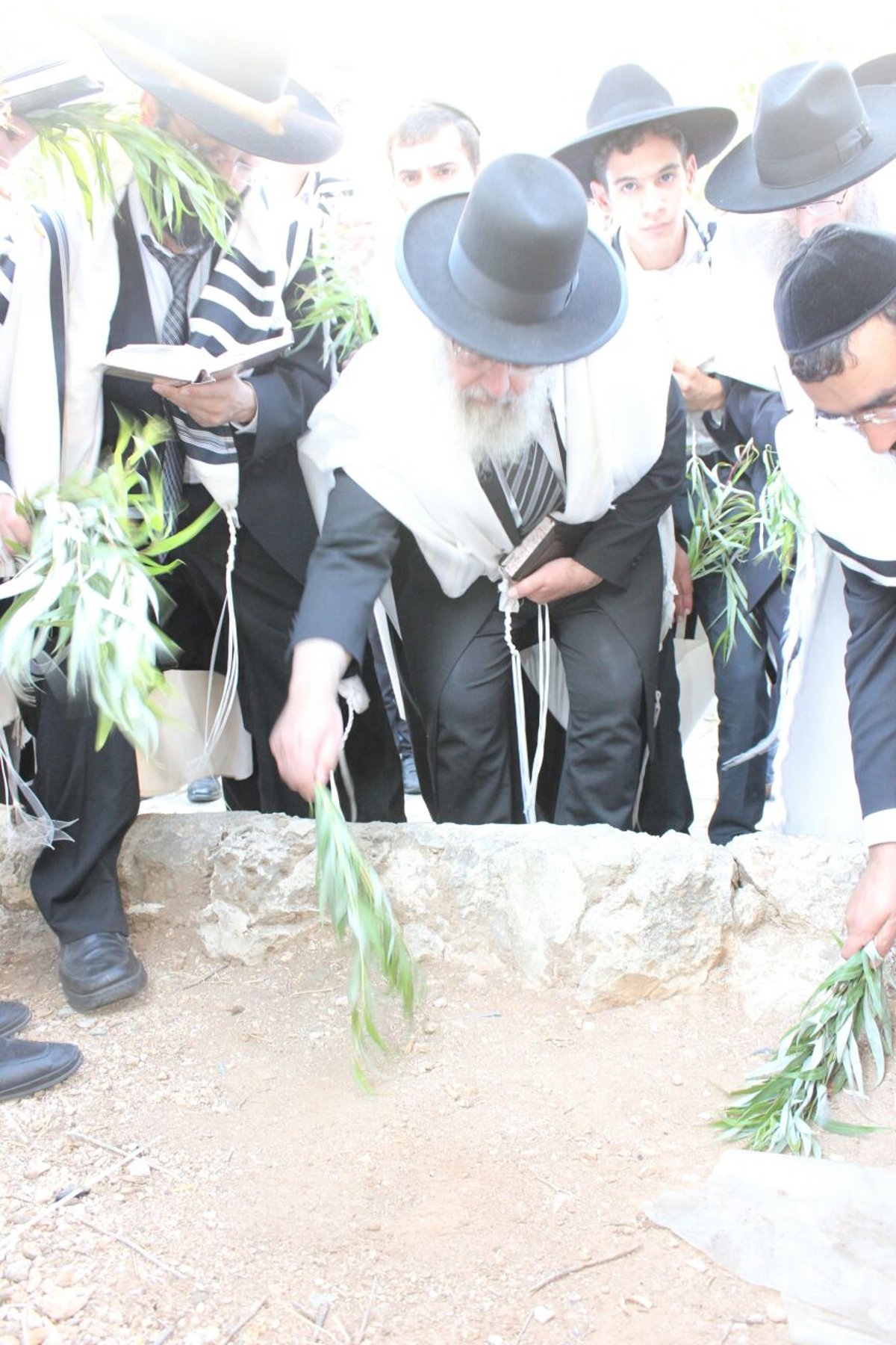 הראשל"צ הגר"י יוסף בחבטת ערבה עם תלמידיו • גלריה