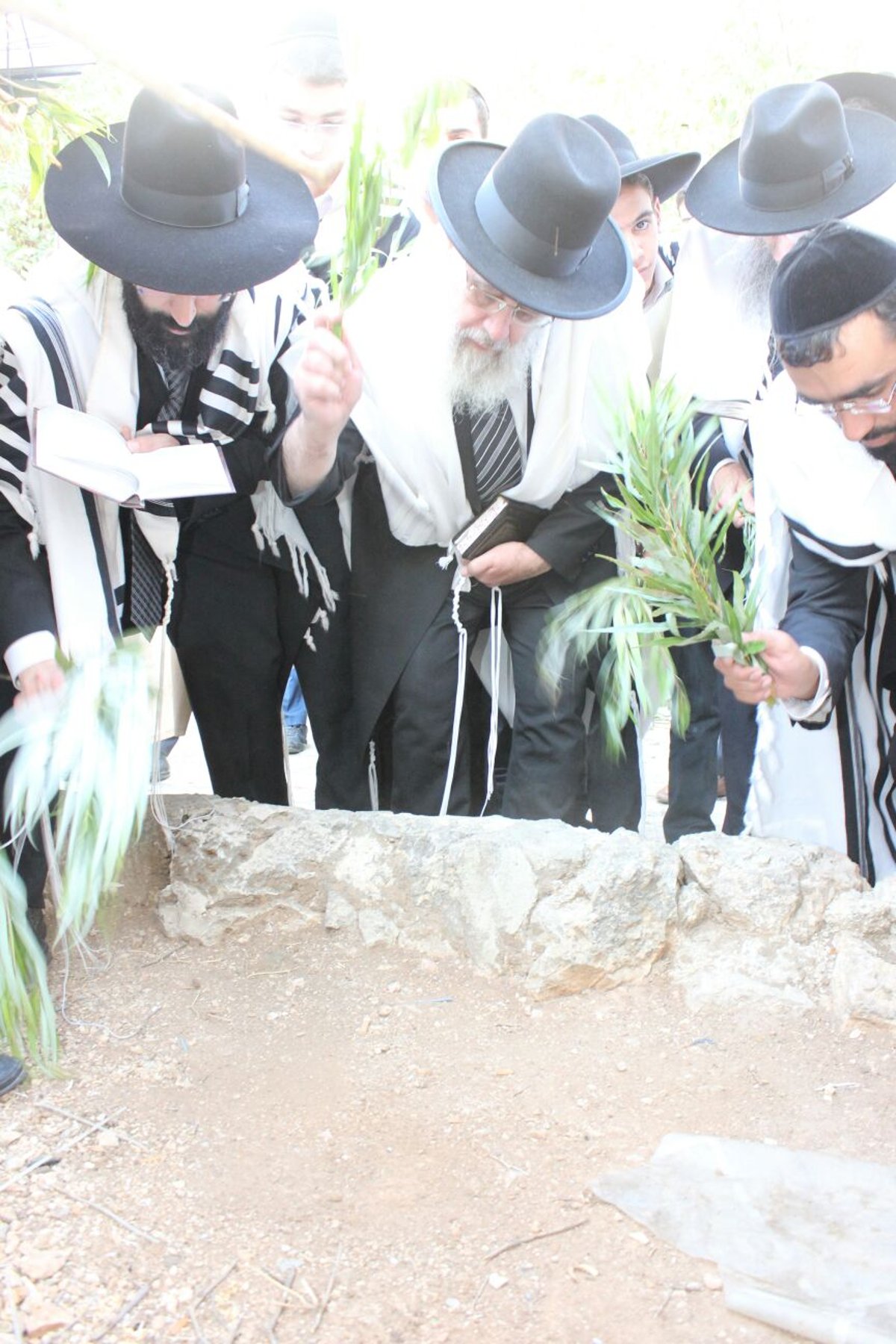 הראשל"צ הגר"י יוסף בחבטת ערבה עם תלמידיו • גלריה