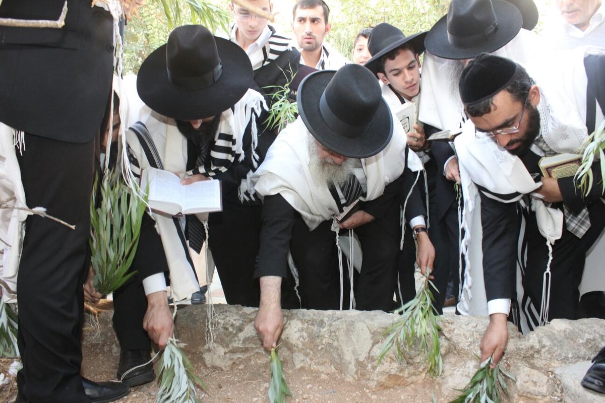 הראשל"צ הגר"י יוסף בחבטת ערבה עם תלמידיו • גלריה