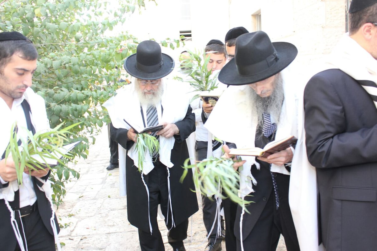 הראשל"צ הגר"י יוסף בחבטת ערבה עם תלמידיו • גלריה