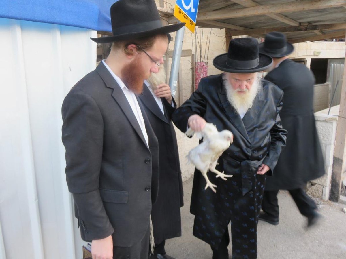 גלריה: חגי תשרי במחיצת הגר"מ שטרנבוך