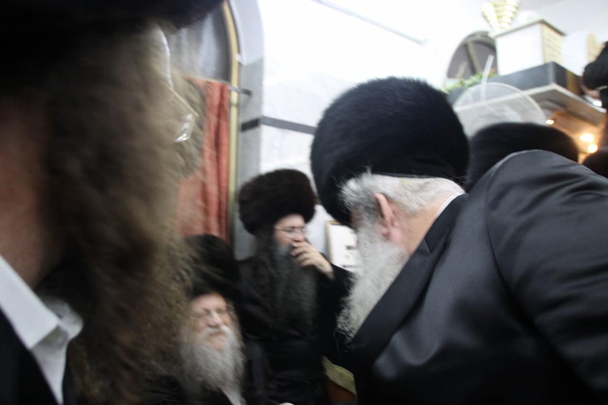 הקפות שניות בחצרות הקודש סאדיגורה, מודזיץ' ודארג בבני ברק • צפו