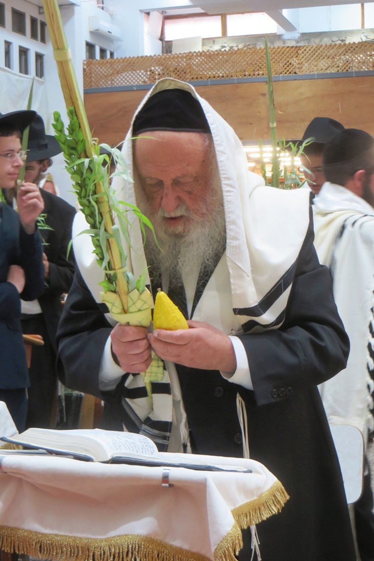 מראות חג הסוכות בישיבת פוניבז' • גלריה