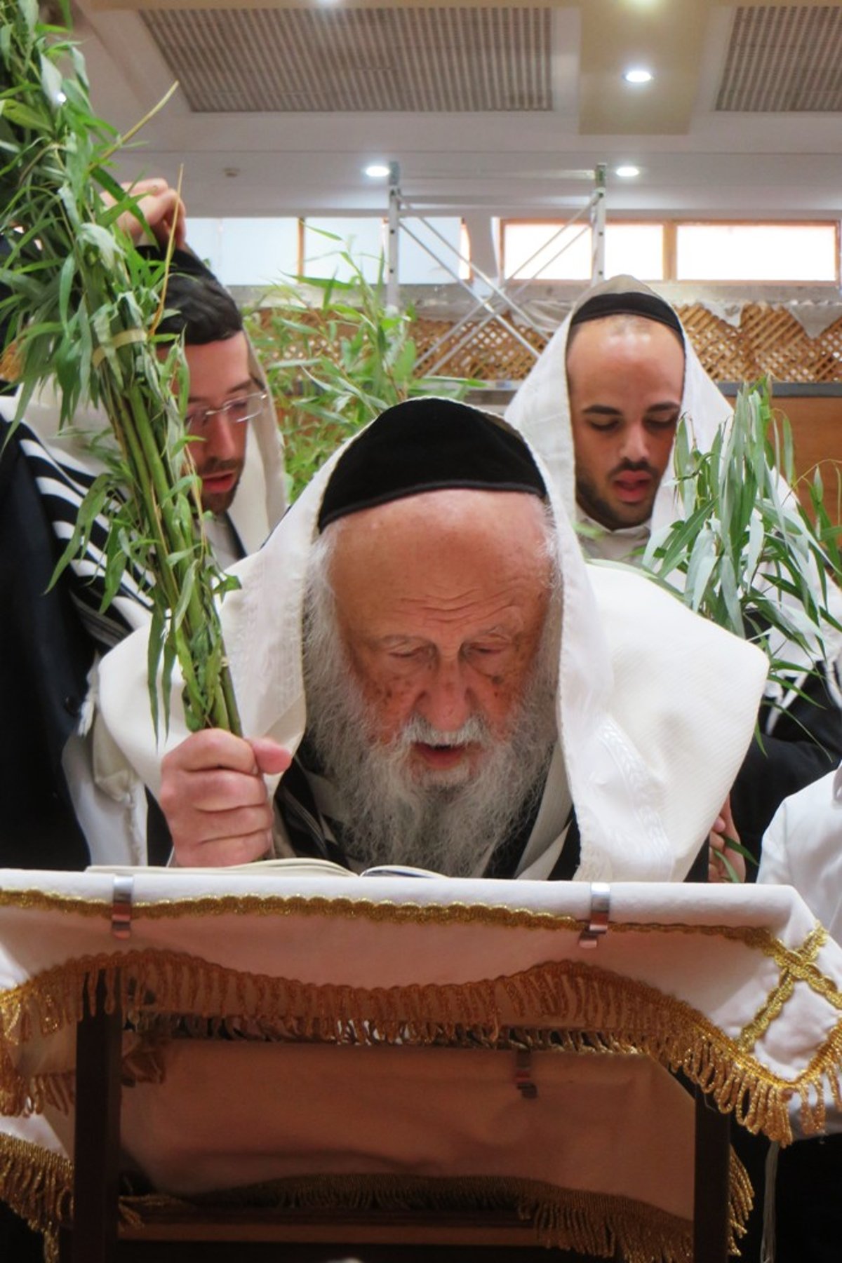 מראות חג הסוכות בישיבת פוניבז' • גלריה