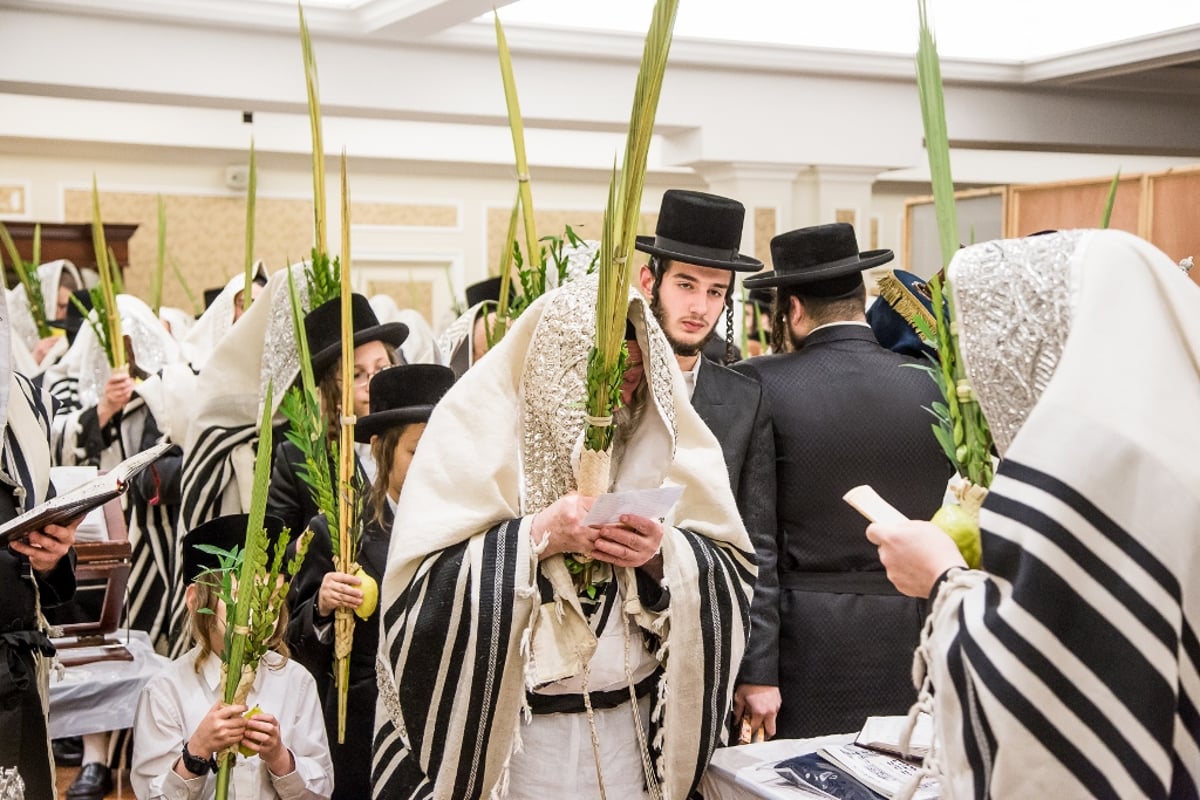 טשרנוביל ארה"ב