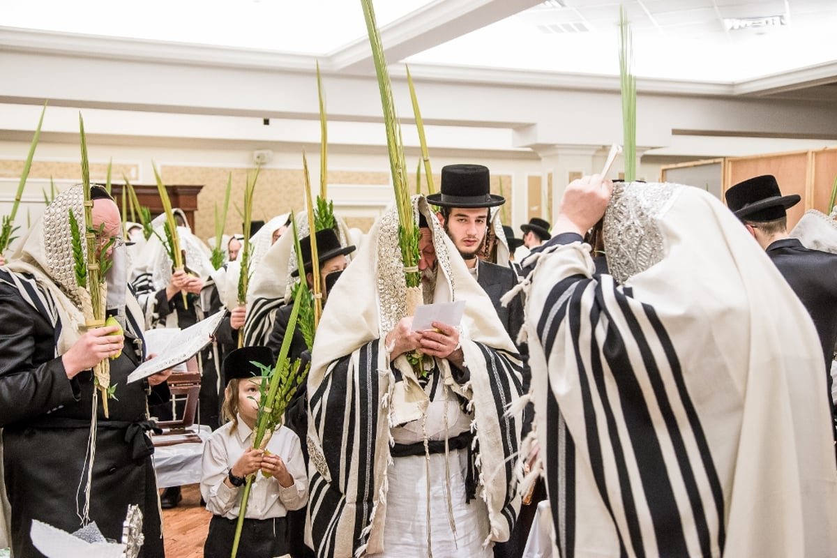 טשרנוביל ארה"ב