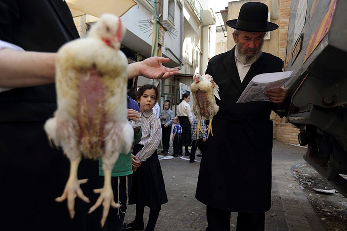 כפרות, אורי אריאל גיבור על תרנגולים