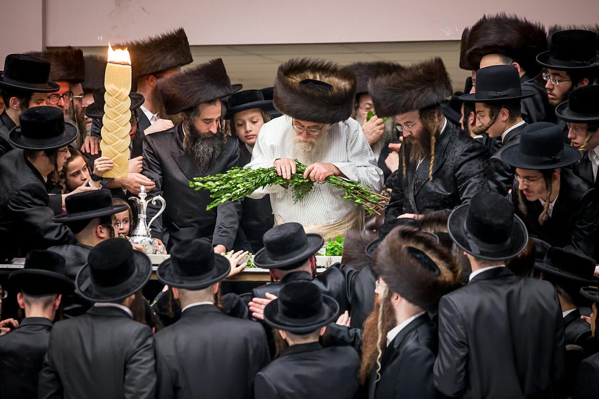 צפו: האדמו"ר מתולדות אהרן מבקר בבורו פארק