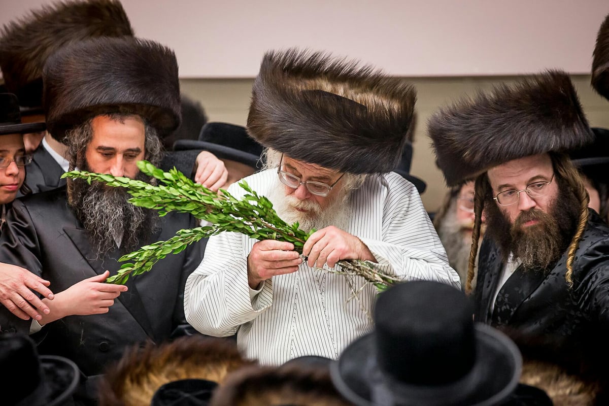 צפו: האדמו"ר מתולדות אהרן מבקר בבורו פארק