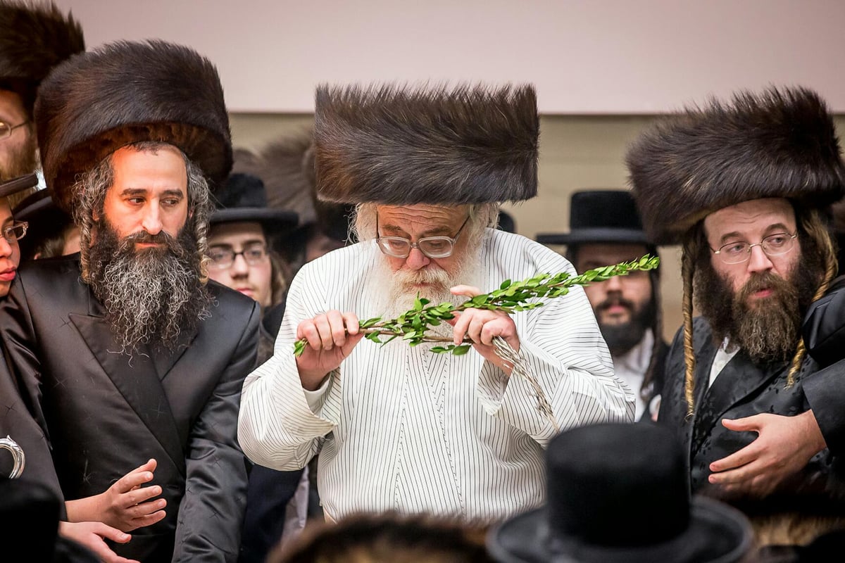 צפו: האדמו"ר מתולדות אהרן מבקר בבורו פארק