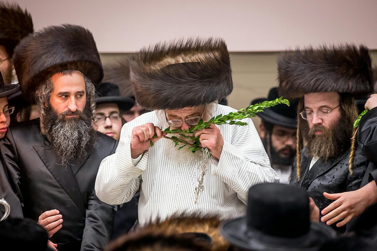 צפו: האדמו"ר מתולדות אהרן מבקר בבורו פארק