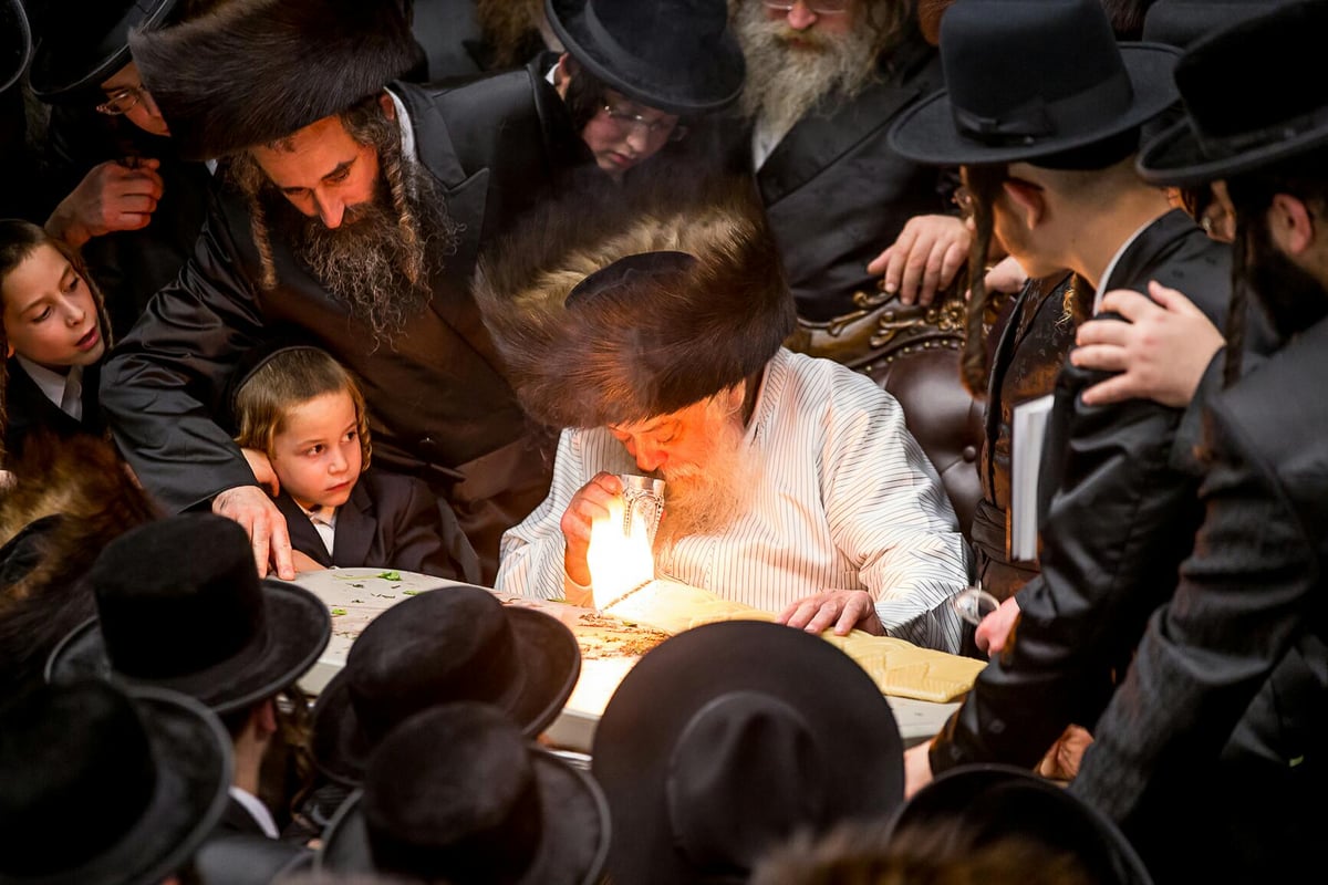 צפו: האדמו"ר מתולדות אהרן מבקר בבורו פארק