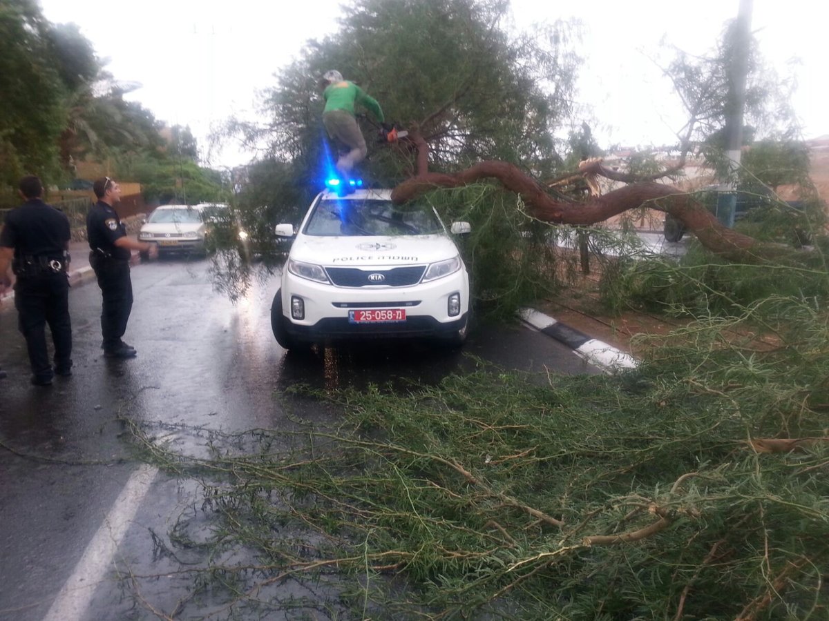 צפו בתיעוד: העץ קרס על ניידת משטרה, השוטרים ניצלו