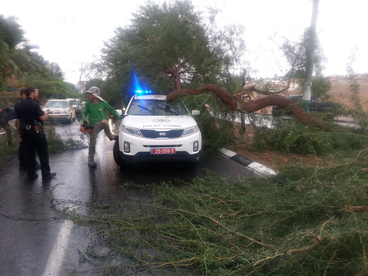 צפו בתיעוד: העץ קרס על ניידת משטרה, השוטרים ניצלו