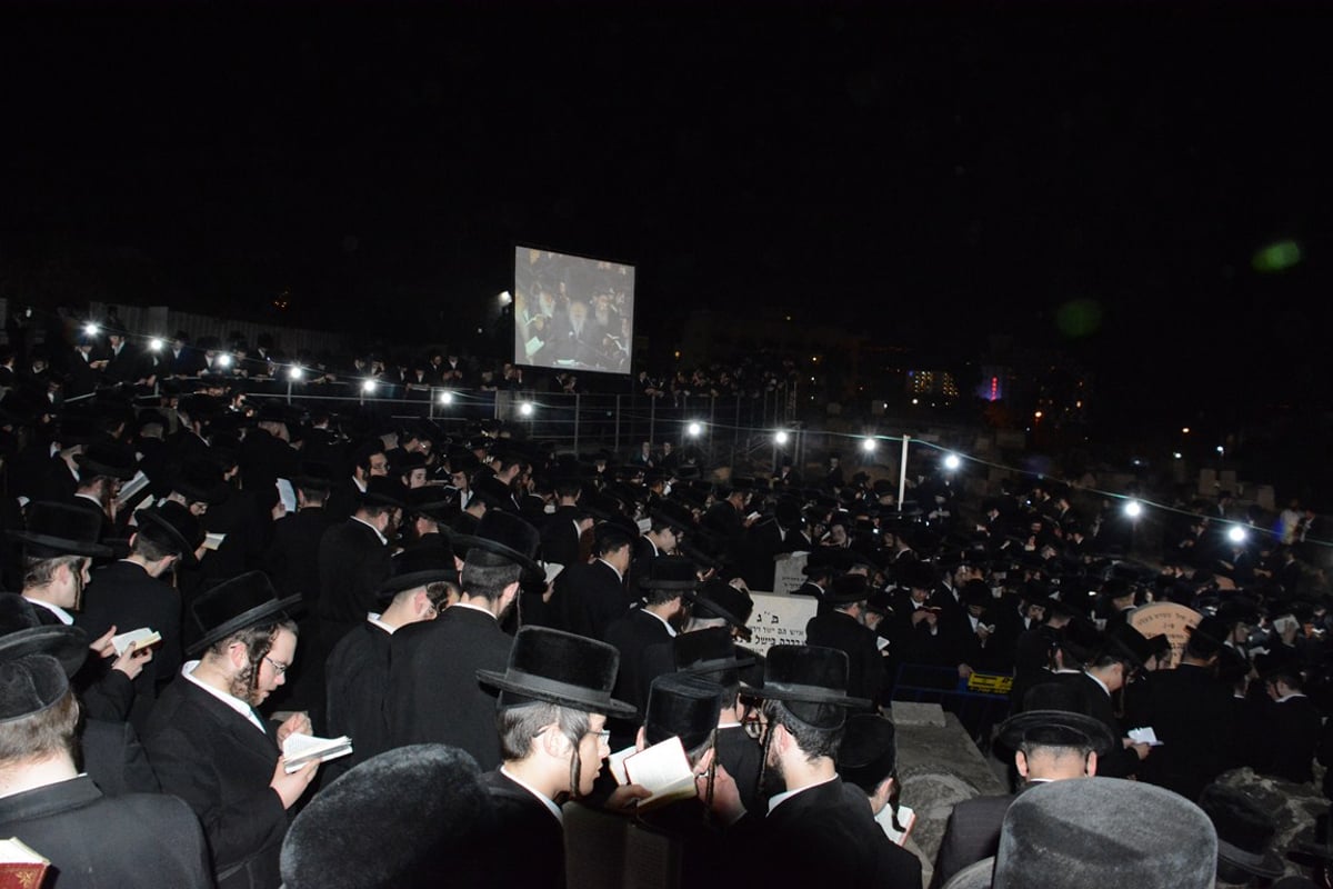 האדמו"ר מבעלזא בציון אביו: "שייכנעו כולם לפני בני ישראל" • תיעוד