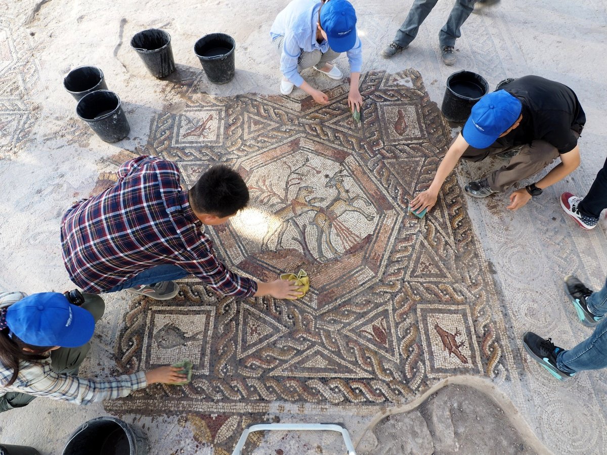 תיעוד: פסיפס מדהים בן 1,700 שנה נחשף בלוד