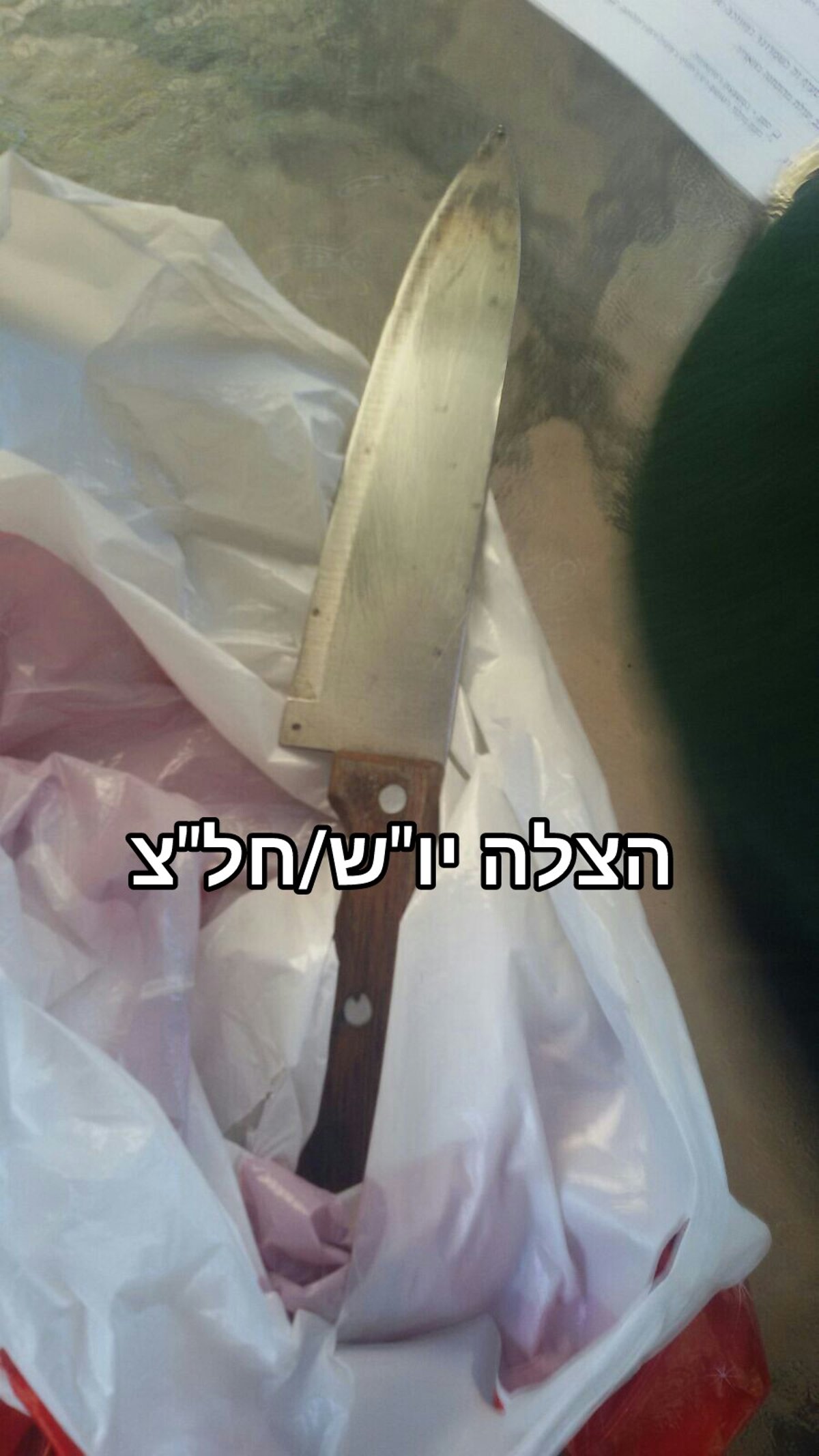 הסכין