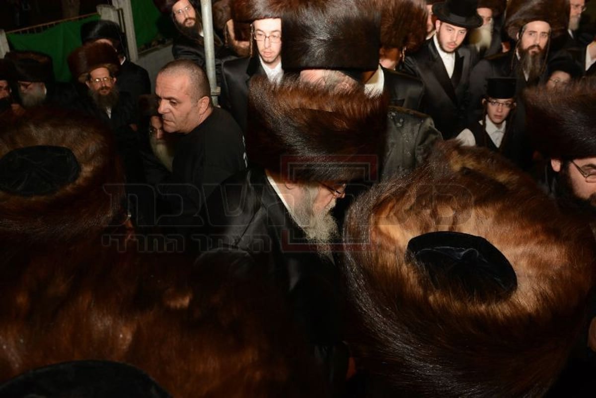 גלריה: האדמו"ר מבעלזא בחתונת מכנובקא