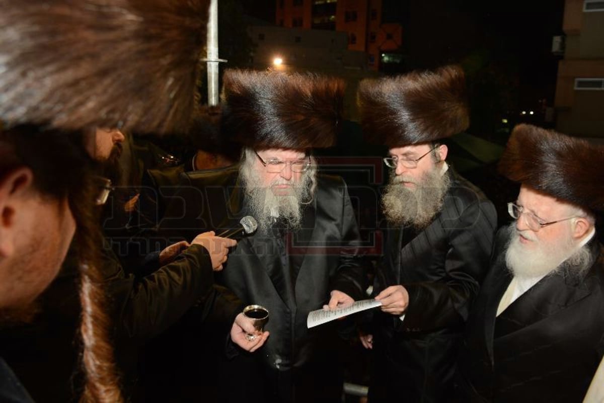 גלריה: האדמו"ר מבעלזא בחתונת מכנובקא