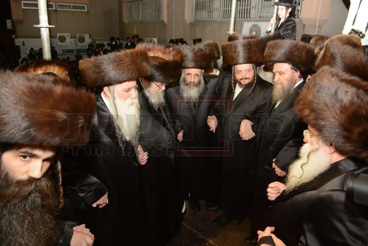 גלריה: האדמו"ר מבעלזא בחתונת מכנובקא