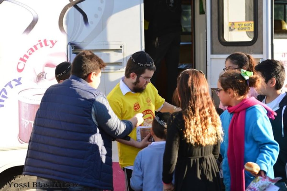 הטנקים של חב"ד כבשו את הכותל המערבי • תמונות