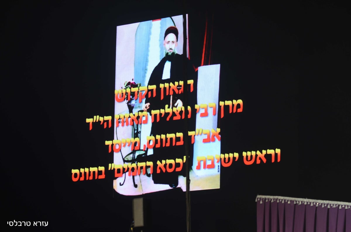 תיעוד ענק: כך נראתה ההילולא של כסא רחמים