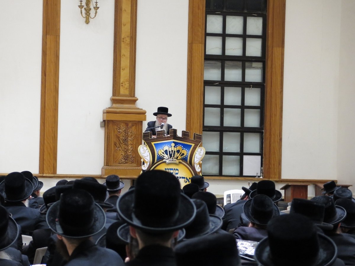 ההיערכות בסקווירא למסע לישראל: כינוסי הכנה ולחן חדש