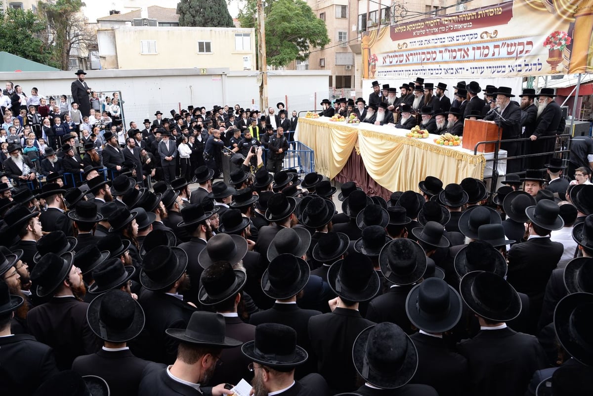 ספר התורה הנדיר הוצא לכבוד הרבי מסקווירא • תמונות