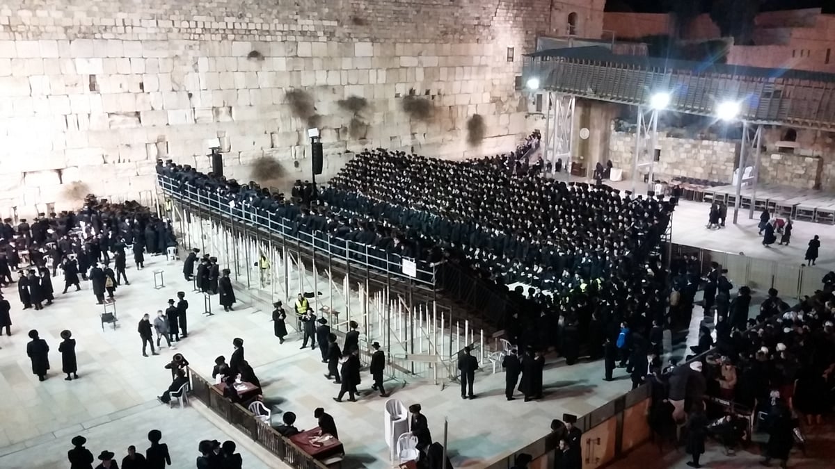 צפו בווידאו: הרבי מסקווירא וחסידיו בכותל המערבי