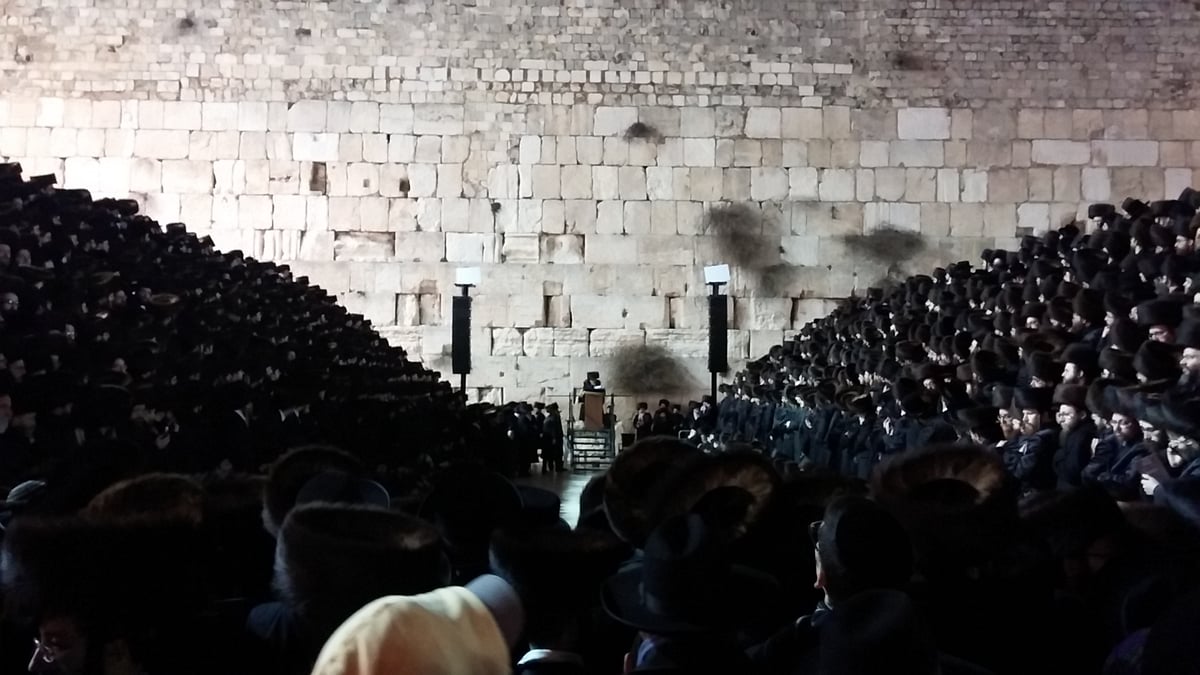 צפו בווידאו: הרבי מסקווירא וחסידיו בכותל המערבי