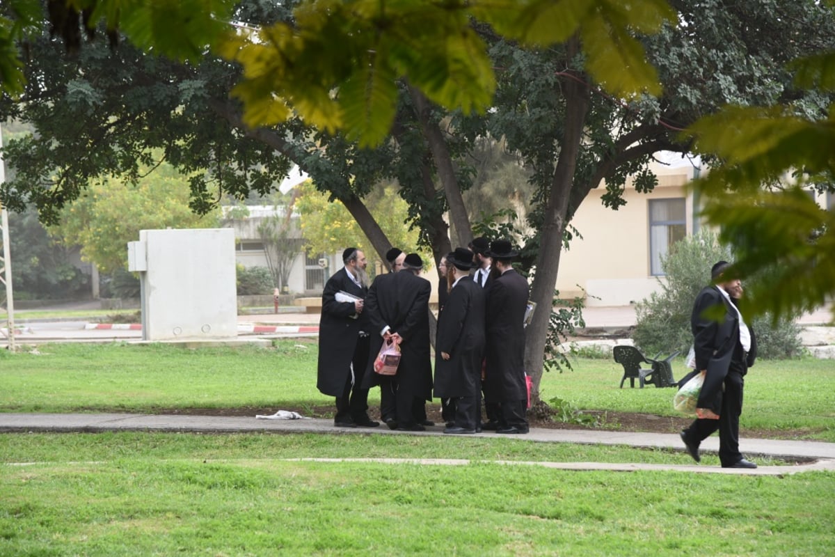 צפו בגלריה: חסידות צאנז עושה שוק מחניודה