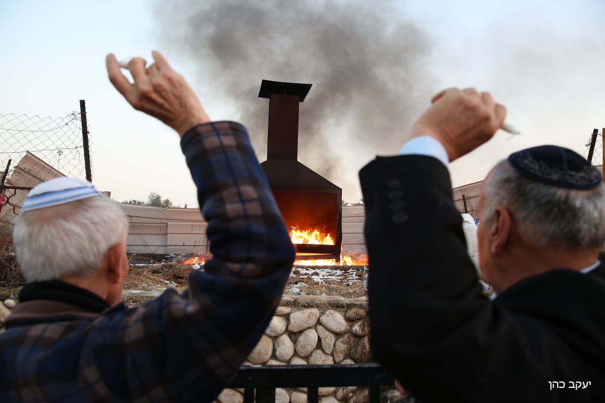 גלריה: הילולת הבבא סאלי בנתיבות