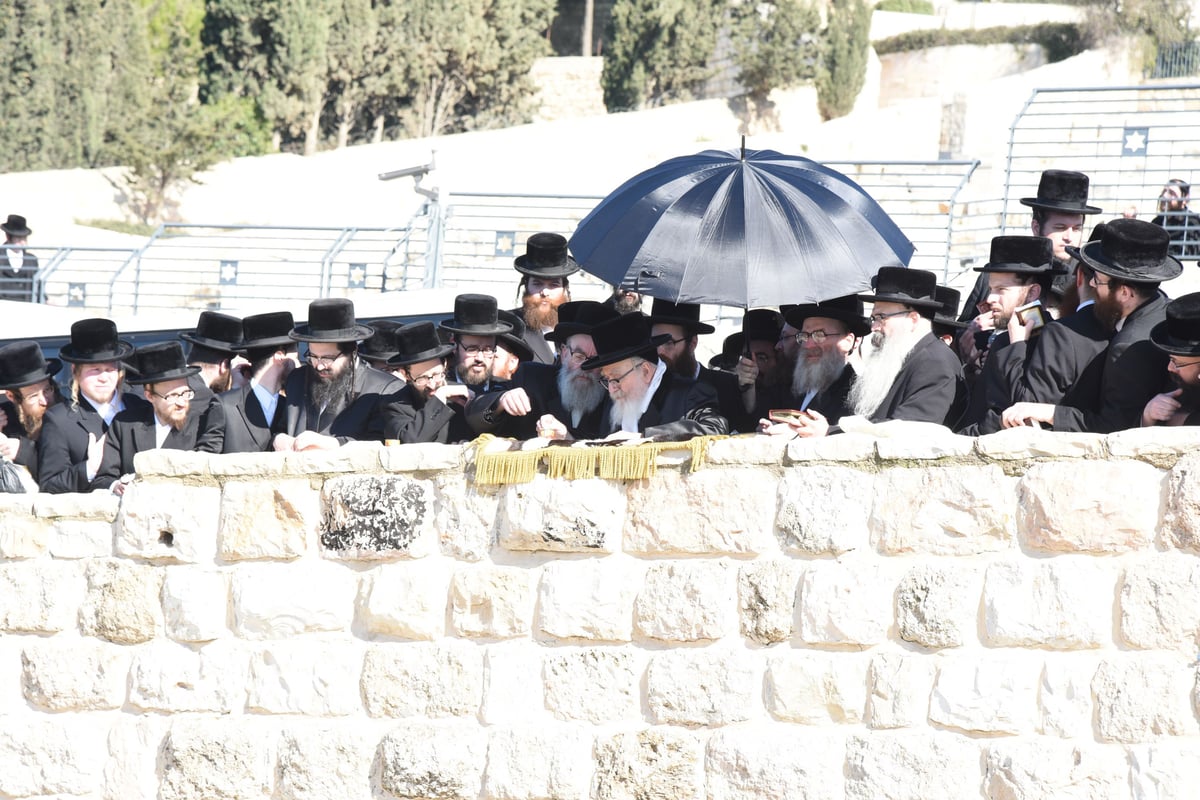 מסע הרבי מסקווירא בהר הזיתים • גלריה